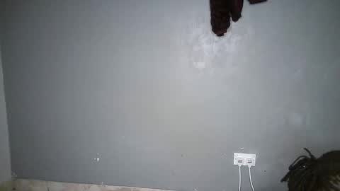 drip_swt online show from 11/06/25, 09:43