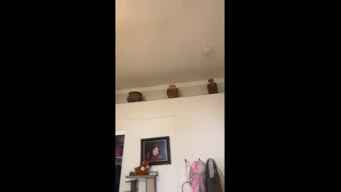 Drippy kitty  online show from 03/15/26, 09:54