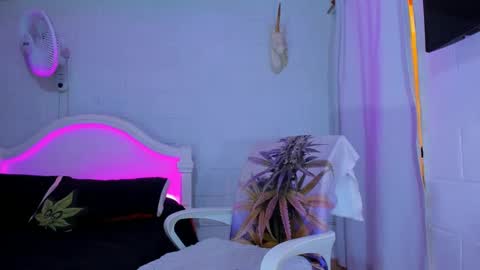 drippyorlove online show from 09/17/25, 08:21