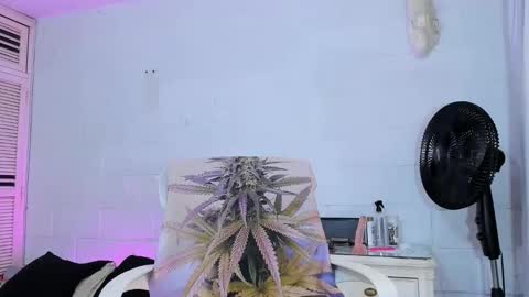 drippyorlove online show from 04/02/26, 08:28