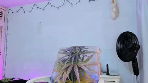 drippyorlove online show from 04/21/26, 01:28