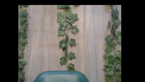 linda online show from 10/06/25, 02:09