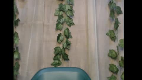 linda online show from 11/08/25, 01:06