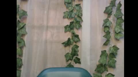 linda online show from 11/16/25, 12:55