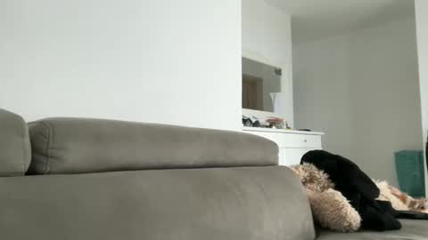 Dr. Resa online show from 10/18/25, 09:54