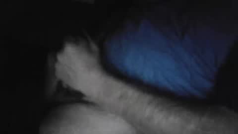 drthick1224 online show from 11/03/25, 02:35