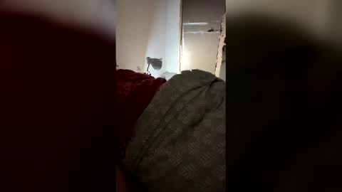 drzinedaj online show from 03/08/26, 02:59