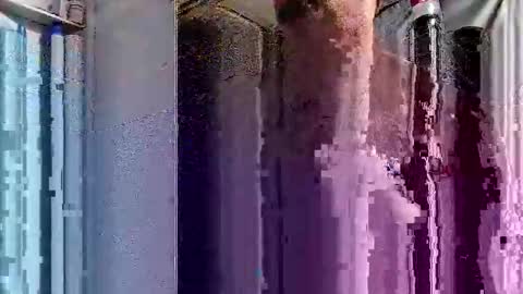 Snapshot of dsmock chatting on 10/01/25, 06:08 dsmock online show from 10/01/25, 06:08