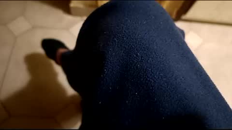 dthedog12 online show from 02/21/25, 12:27