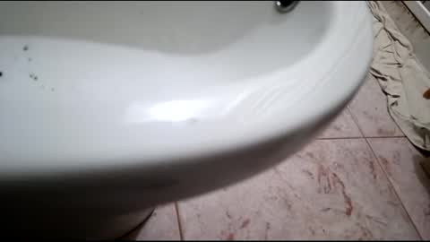 dthedog12 online show from 02/24/25, 07:52