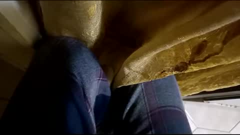 dthedog12 online show from 03/12/25, 02:09