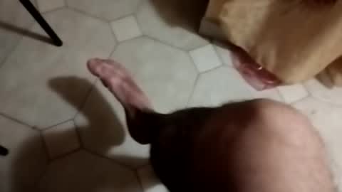 dthedog12 online show from 09/22/25, 09:28