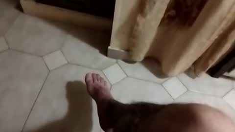 dthedog12 online show from 09/23/25, 09:51