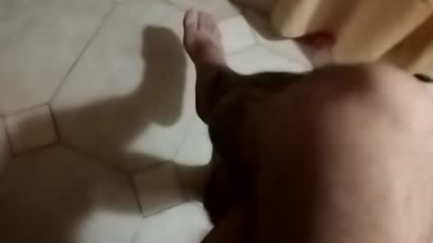 dthedog12 online show from 09/30/25, 08:58