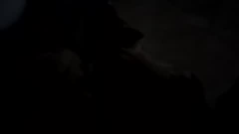 dthedog12 online show from 10/05/25, 02:43