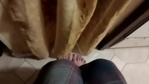 dthedog12 online show from 10/08/25, 09:12