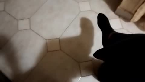 dthedog12 online show from 10/22/25, 01:50