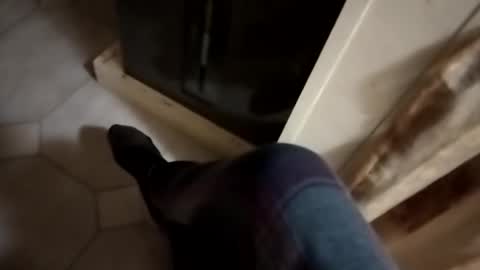 dthedog12 online show from 10/24/25, 01:03