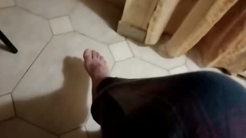 dthedog12 online show from 10/28/25, 03:10