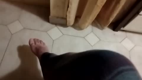 dthedog12 online show from 11/03/25, 03:08