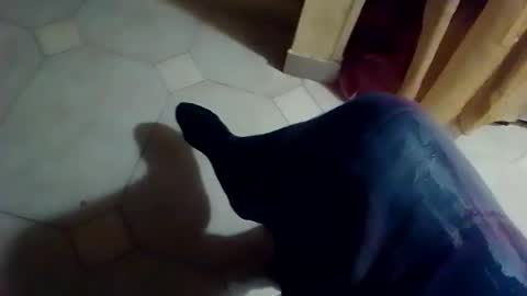 dthedog12 online show from 02/08/26, 01:09