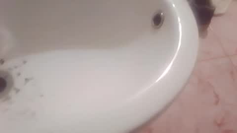 dthedog12 online show from 02/08/26, 09:40