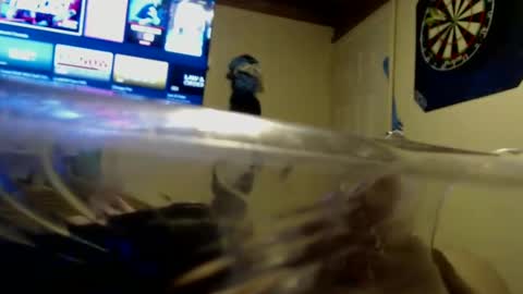 dtrain6969420 online show from 09/25/25, 02:04