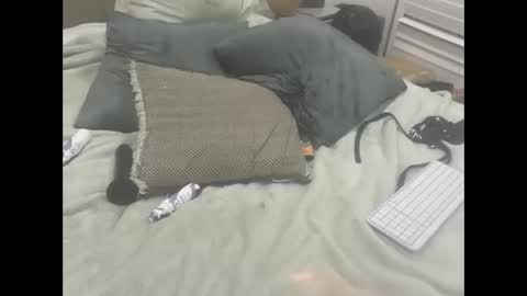 Snapshot of dudebrocuz69 chatting on 02/18/26, 11:55 Dude online show from 02/18/26, 11:55