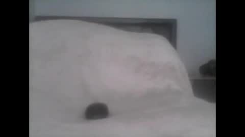 Snapshot of dudek0 chatting on 11/01/25, 02:19 dudek0 online show from 11/01/25, 02:19