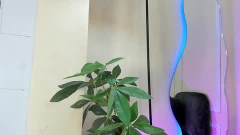 dulce__fiore07 online show from 12/21/25, 12:23