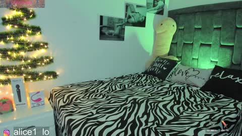 Snapshot of dulce_alice_ chatting on 12/24/24, 10:11  ALICE  online show from 12/24/24, 10:11