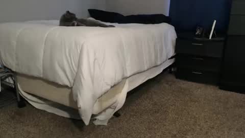 dwhitey4u online show from 11/02/25, 08:00