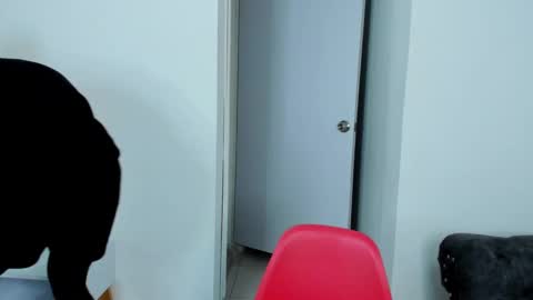 Dylan Taylor online show from 10/05/25, 04:00