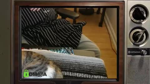 e8849c online show from 11/08/25, 11:03