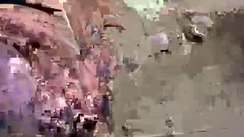 Easye online show from 01/26/25, 07:41