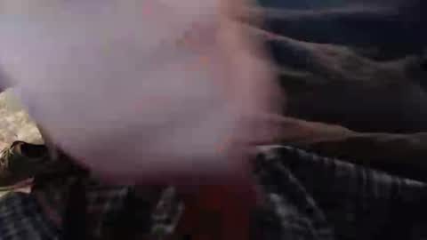 eat_a_peach2 online show from 11/12/25, 11:43