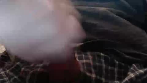 eat_a_peach2 online show from 04/02/26, 10:35