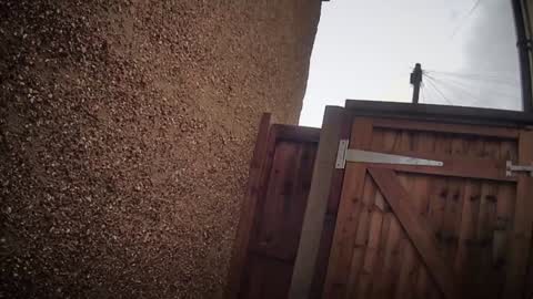 Nadia Ferreira  online show from 02/06/26, 11:24