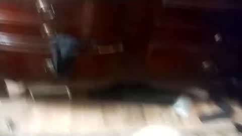 eboy4sale online show from 03/01/25, 11:50