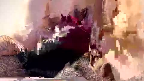 AliceTurner online show from 03/17/26, 07:17