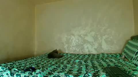 Nomyx  OF check online show from 11/14/25, 05:55