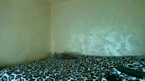 Nomyx  OF check online show from 11/20/25, 05:23