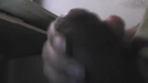 Snapshot of eddie69117 chatting on 11/05/25, 09:20 EddiesCock69 online show from 11/05/25, 09:20