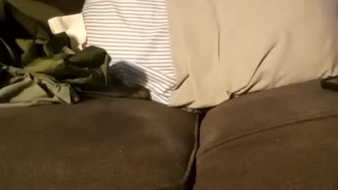 edmore1215 online show from 12/11/24, 03:37