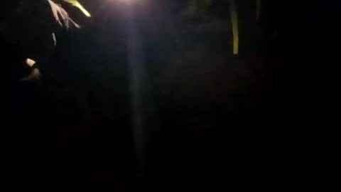 edmore1215 online show from 01/14/25, 10:17