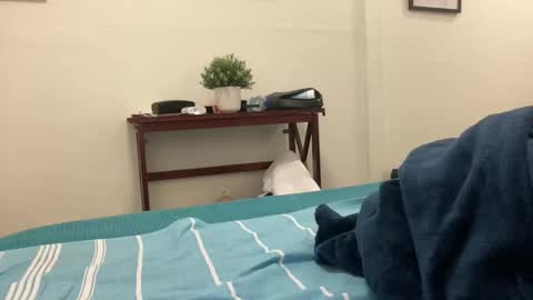 eel184 online show from 03/10/26, 05:01