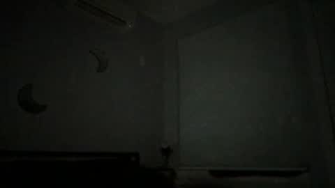 Snapshot of eerriicc2022 chatting on 12/16/24, 10:08 eerriicc2022 online show from 12/16/24, 10:08