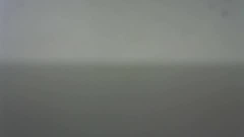 EIder online show from 02/22/26, 03:51