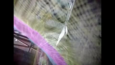 eirma7991 online show from 02/25/26, 10:30