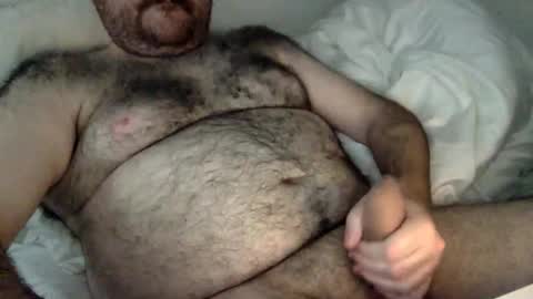 elabear online show from 02/10/26, 06:28